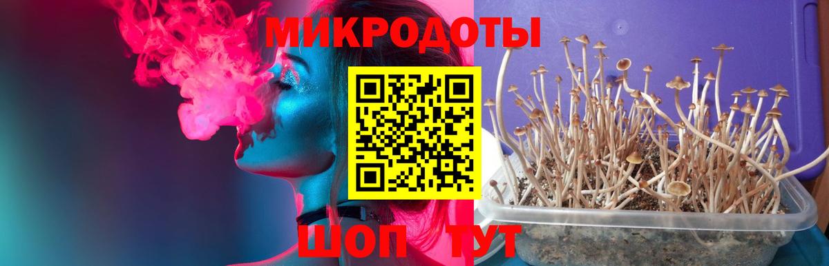 Псилоцибиновые грибы мухоморы  Псилоцибиновые грибы мухоморы  Вход с VPN  Рославль 